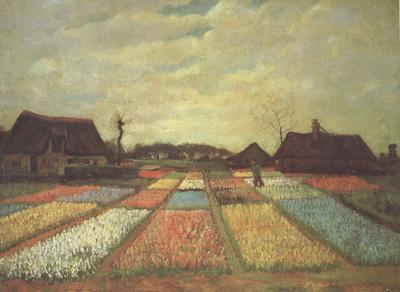 Vincent Van Gogh Bulb Fields (nn04) oil painting image